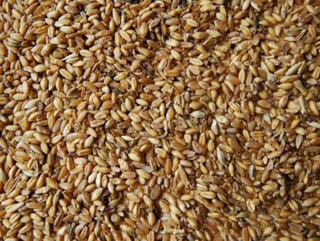 TAHIL ÜRÜNLERİ (grain product)